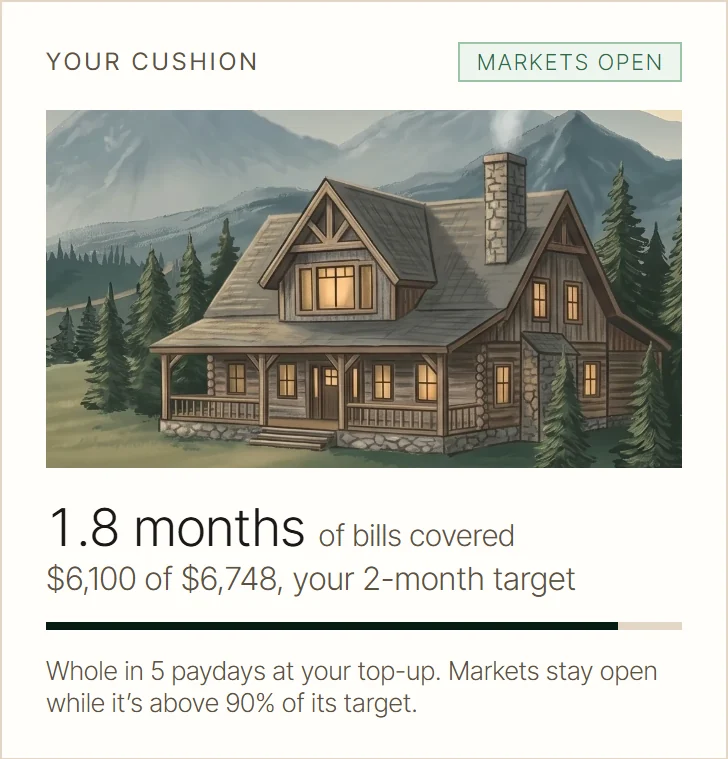 Your cushion, in the FinFuse app